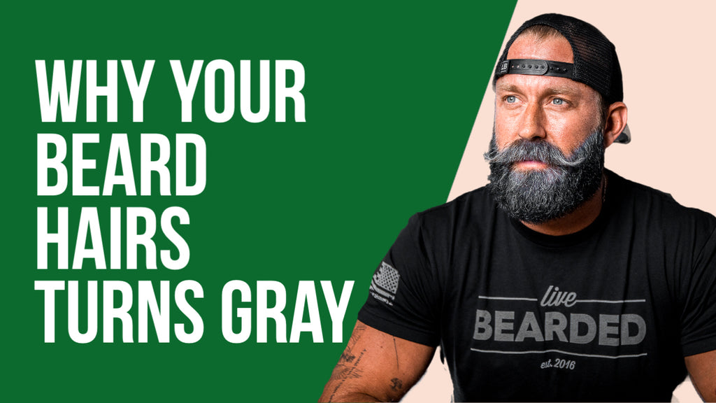 Why Beard Hairs Turn Gray Live Bearded