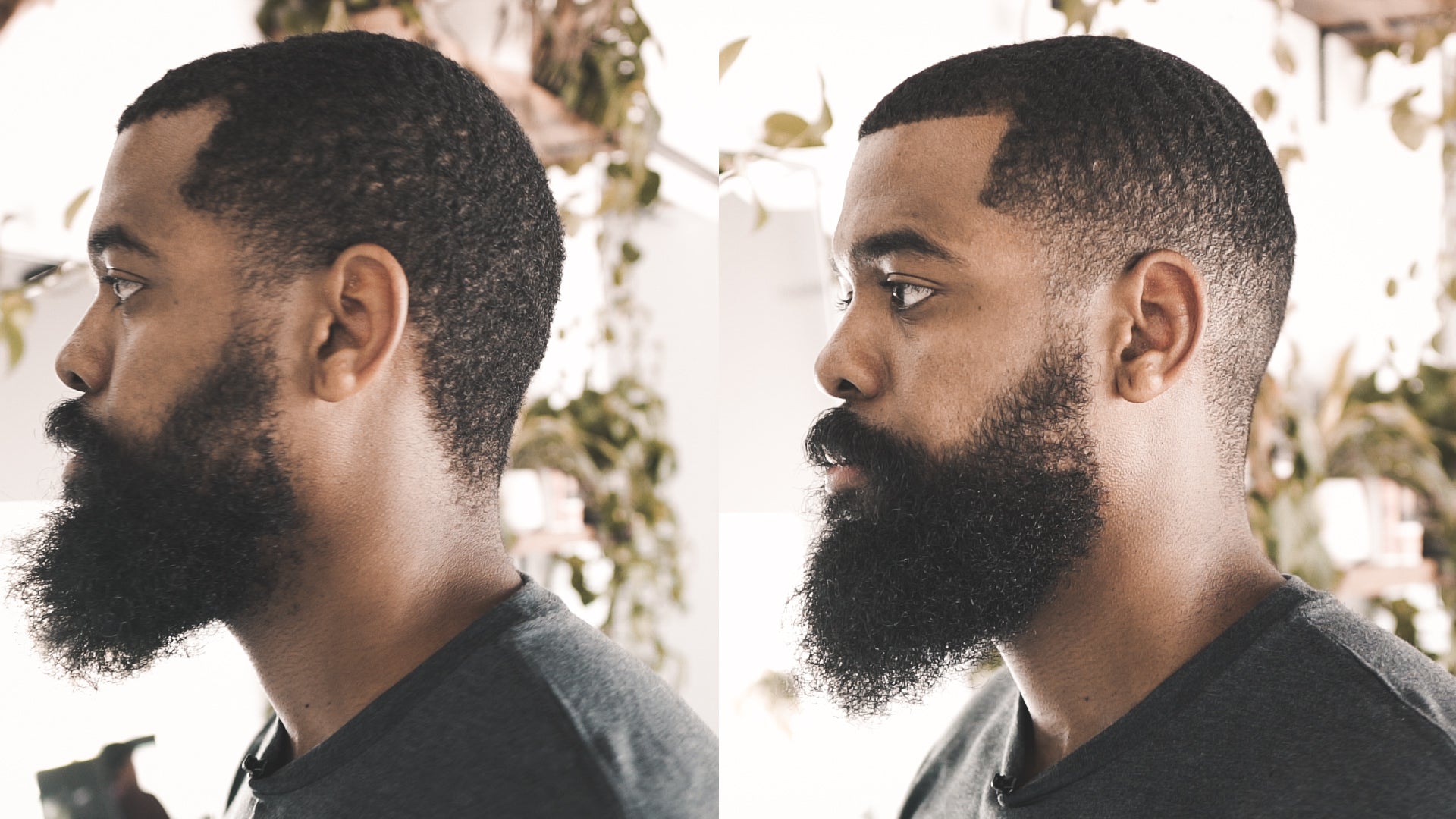 Low Fade & Beard Shape-up Walkthrough