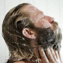 Live Bearded